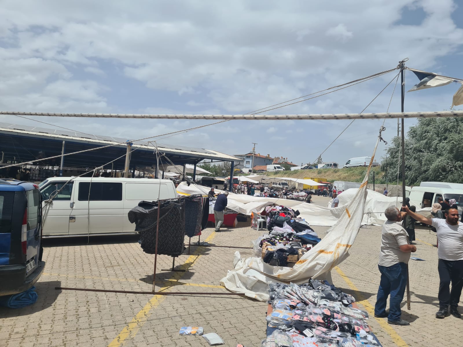 1C1431D4 2Cbd 49D6 9693 B8Fc52F3A6F1