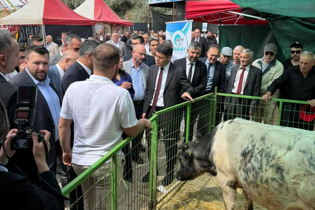 502570859 1074415084531409 7302756910254966544 N