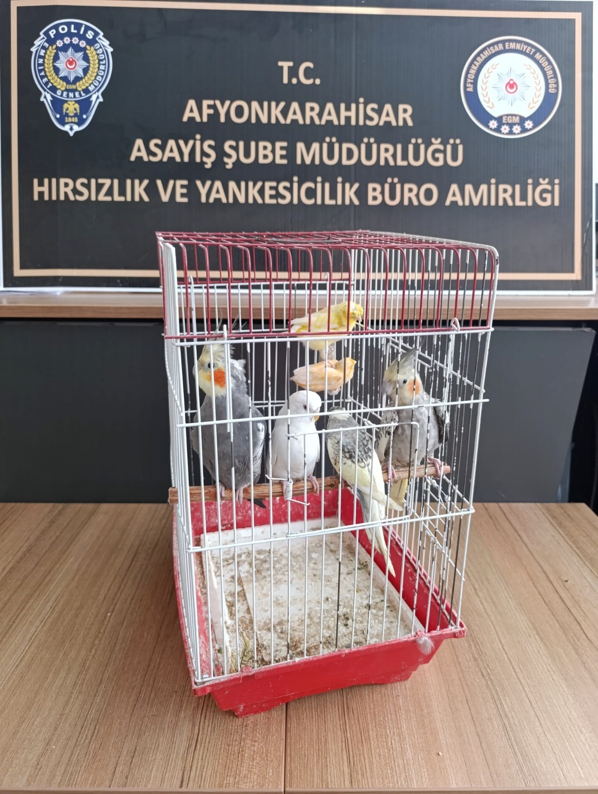 1Cb74C7F 0Fbf 47C7 895D D1E48Edff3D4