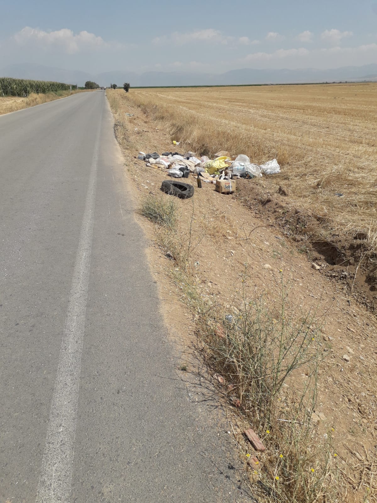 8F96602A C29B 4376 9D2F F10134Ae6B88