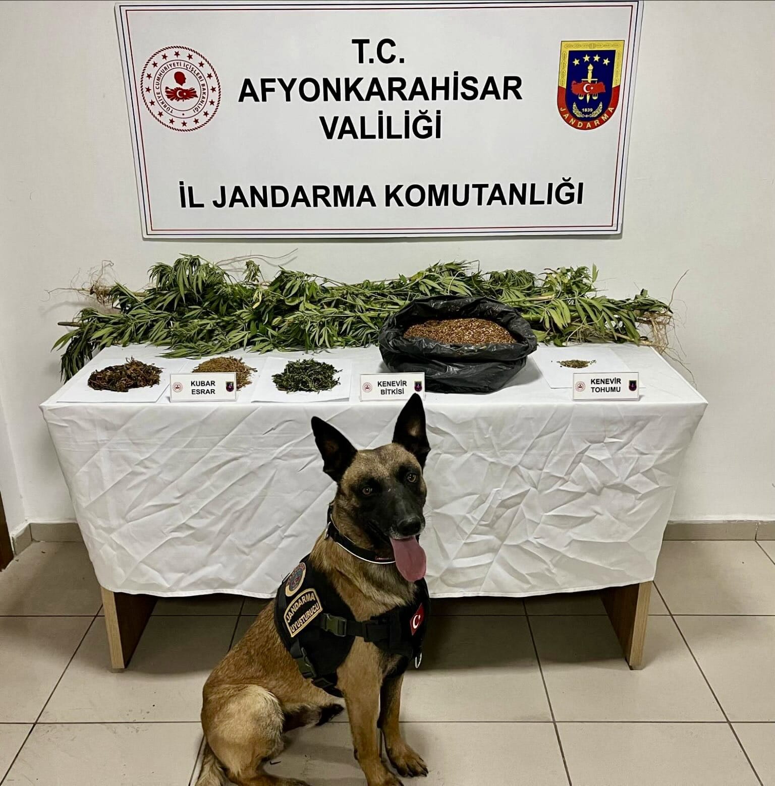 9971358E Deb2 4627 Ba65 F8D7B0762862