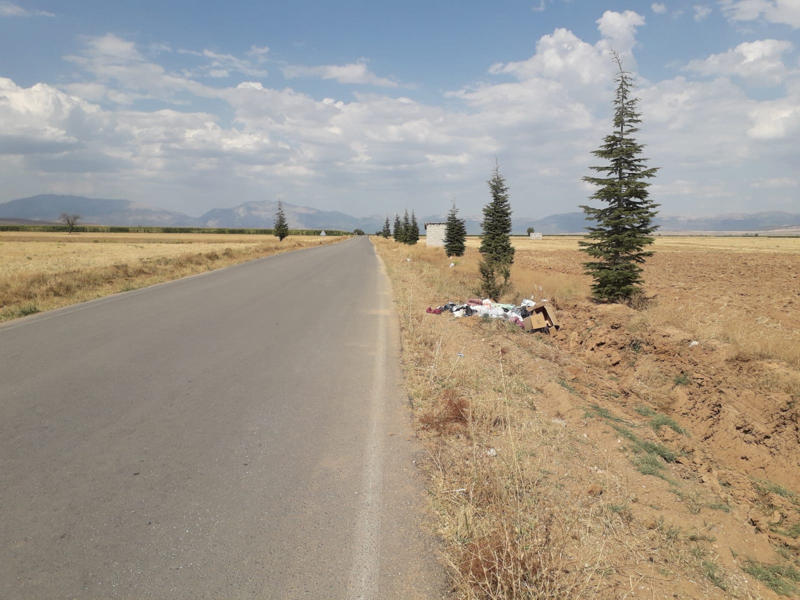 Dc23823B Adb8 4Cd6 9B24 95A5Bd73Af29