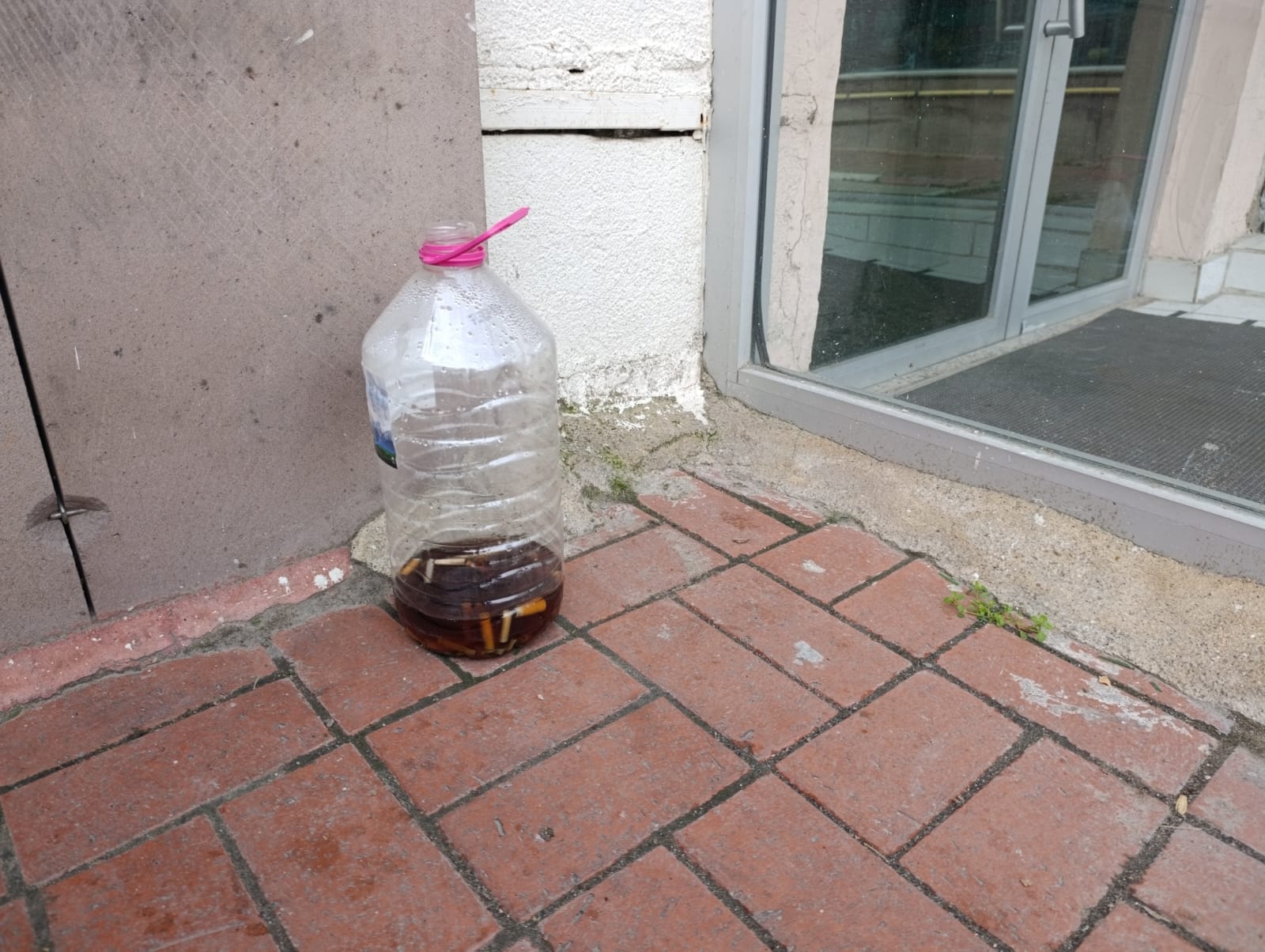 Eed81A0C F74B 4F54 A6Bf 91447D94426B