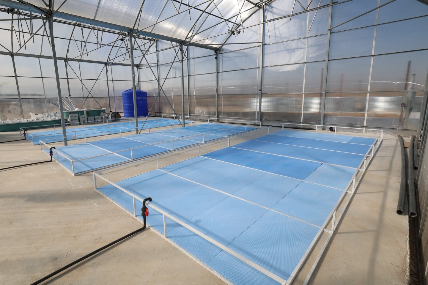 Cf8337E8 258B 45A1 B797 2629A290A41E