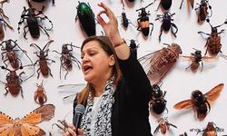 "Böcek Yalanı"nda Son Perde.!