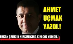 ERKAN ÇELİK'İN HIRSIZLIĞINA KİM GÖZ YUMDU.!
