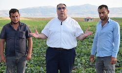 "KENDİ TOPRAKLARIMIZDA ÇİFTÇİMİZE YAPILAN REVAMI"