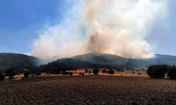 Ormanlık alanda çıkan yangına müdahale ediliyor