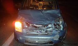 Sahipsiz eşeklere çarpan hafif ticari araçtaki 2 kişi yaralandı