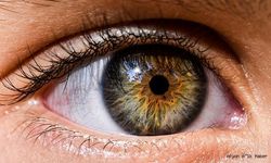 GÖZ RENGİMİZİN BİLİMSEL VE GENETİK ŞİFRELERİ ÇÖZÜLDÜ.!