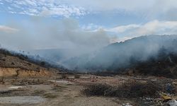 Ormanlık alana sıçrayan yangına müdahale ediliyor