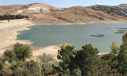 AFÇED ACI GERÇEĞİ ORTAYA KOYDU; SELEVİR BARAJI DA KURUYACAK.!