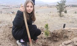 Bayat"ta ağaçlandırma seferberliği