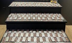 Büyük Uyuşturucu Operasyonu: 3346 Adet Uyuşturucu Madde Ele Geçirildi, 2 Kişi Tutuklandı