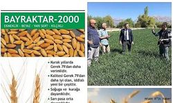 "Çiftçilerimize %50 Hibeli Buğday Tohumu Desteği Başvuruları Başladı!"