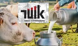 Ticari süt işletmelerince 903 bin 509 ton inek sütü toplandı