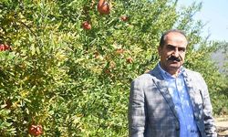 Türkiye"nin 10 aylık nar ihracatı 100 milyon doları aştı