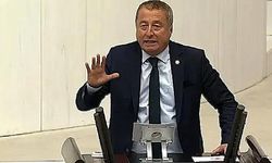 Milletvekili Olgun: "Gazetecilik Suç Sayılıyor mu?"