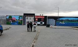  Aranan Şahıs Jandarma Operasyonuyla Yakalandı