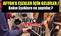 Afyon'a Eşekler için Geldiler.!, Bakın Ne Yaptılar.?