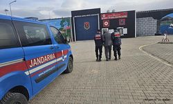 Aranan Firari Cezasını Çekmeye Başladı: 