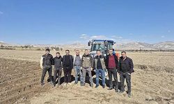 Çöl Ovası'nda Meşhur Patates Ekimi Başladı