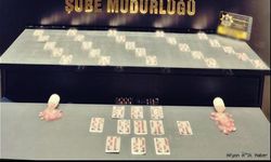 Uyuşturucu Madde Ele Geçirildi