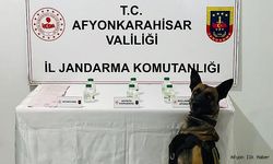 Uyuşturucu Operasyonu: Bir Şüpheli Gözaltına Alındı