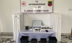 Evde Yasadışı Kenevir Yetiştiriciliği: Zanlı Gözaltında