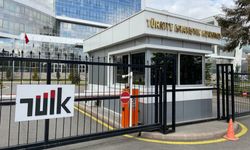Hizmet, Perakende Ticaret ve İnşaat Güven Endeksleri..