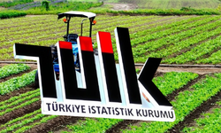 Tarımsal girdi fiyat endeksi (Tarım-GFE) yıllık %29,73 arttı