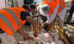 Kurban Bereketi Emirdağ’da Yüzlerce Haneye Ulaştı