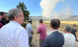 Döğer'de Orman Yangını: Milletvekili Yurdunuseven Bölgede İncelemelerde Bulundu
