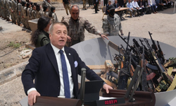 Afyonkarahisar Milletvekili Olgun'dan Silah Sorgulaması