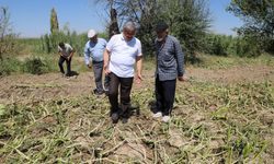 YURDUNUSEVEN ZARAR GÖREN TARIM ARAZİLERİNİ İNCELEDİ