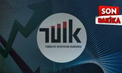 Hizmet ihracatı 117,2 milyar dolar.!