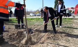 Rektör Karakaş’ın Katılımıyla Milli Ağaçlandırma Gününde Bin 300 Fidan Toprakla Buluştu