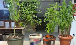 Güvenlik Operasyonu: 21 Aranan Şahıs Yakalandı