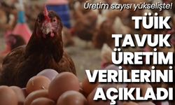 Tavuk Eti Üretimi 228 Bin 846 Ton Oldu.!