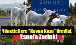 Yöneticilere "Koyun Kuzu" Kredisi, Esnafa Zorluk.!