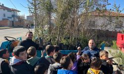 MUHTAR GEÇE MAHALLESİNİ AĞAÇLARLA DONATTI