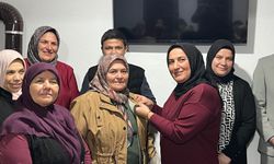 Koçbeyli’deki Şiddet, Bu Ülkenin En Karanlık Aynasıdır