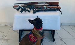 7 Ruhsatsız Silah Ele Geçirildi