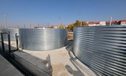 Jeotermal Su desteğiyle Tatlı Su Karidesi ve Balık Yetiştiriciliği Projesinde Üretim Süreci Başlıyor