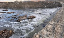 Fabrika atıkları Eber Gölü'nü yok ediyor.