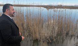 "Eber Gölü’nün yok oluşuna seyirci kalmayalım"