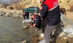 13 İlçede 39 Göl ve Gölete Balık Bırakıldı