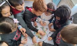 Gri Fillerin Arasında “Elmer” Olmayı Öğreniyorlar!