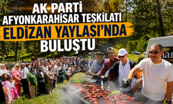 AK PARTİ AFYONKARAHİSAR TEŞKİLATI ELDİZAN YAYLASI'NDA BULUŞTU
