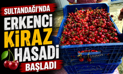 Sultandağı'nda Erkenci Kiraz Hasadı Başladı